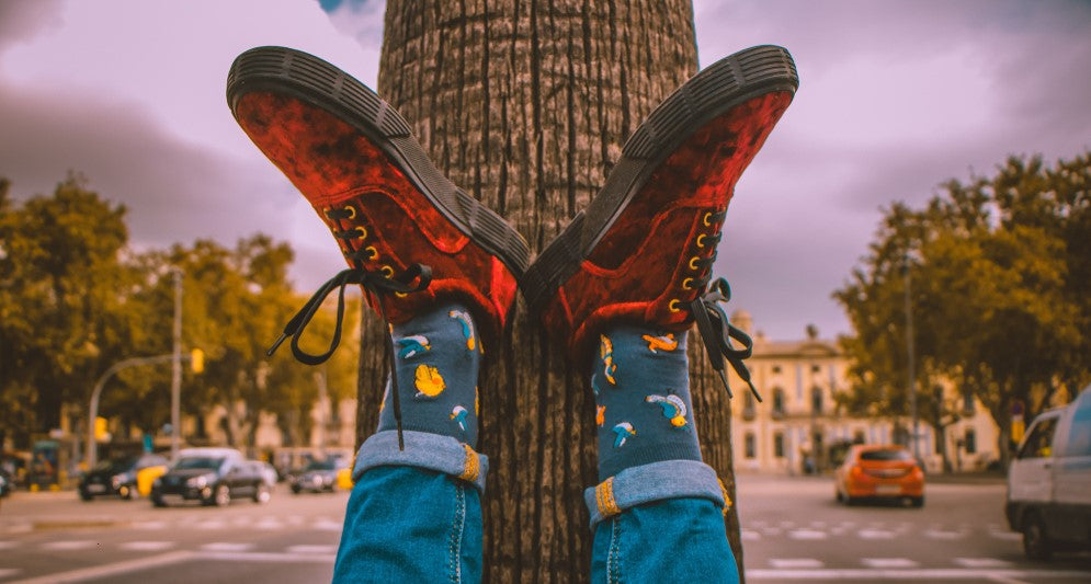 novelty socks for men nz