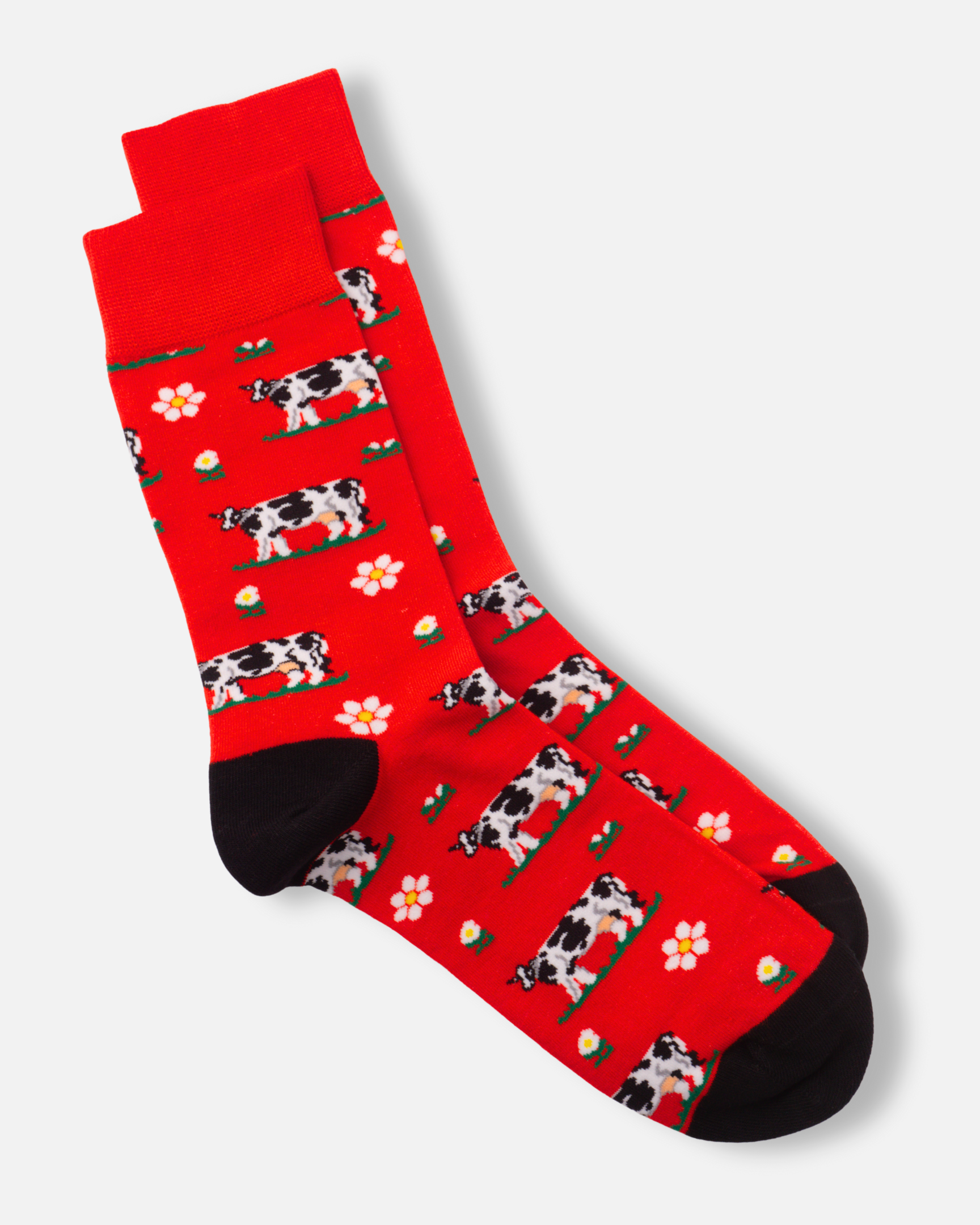 Cows Socks