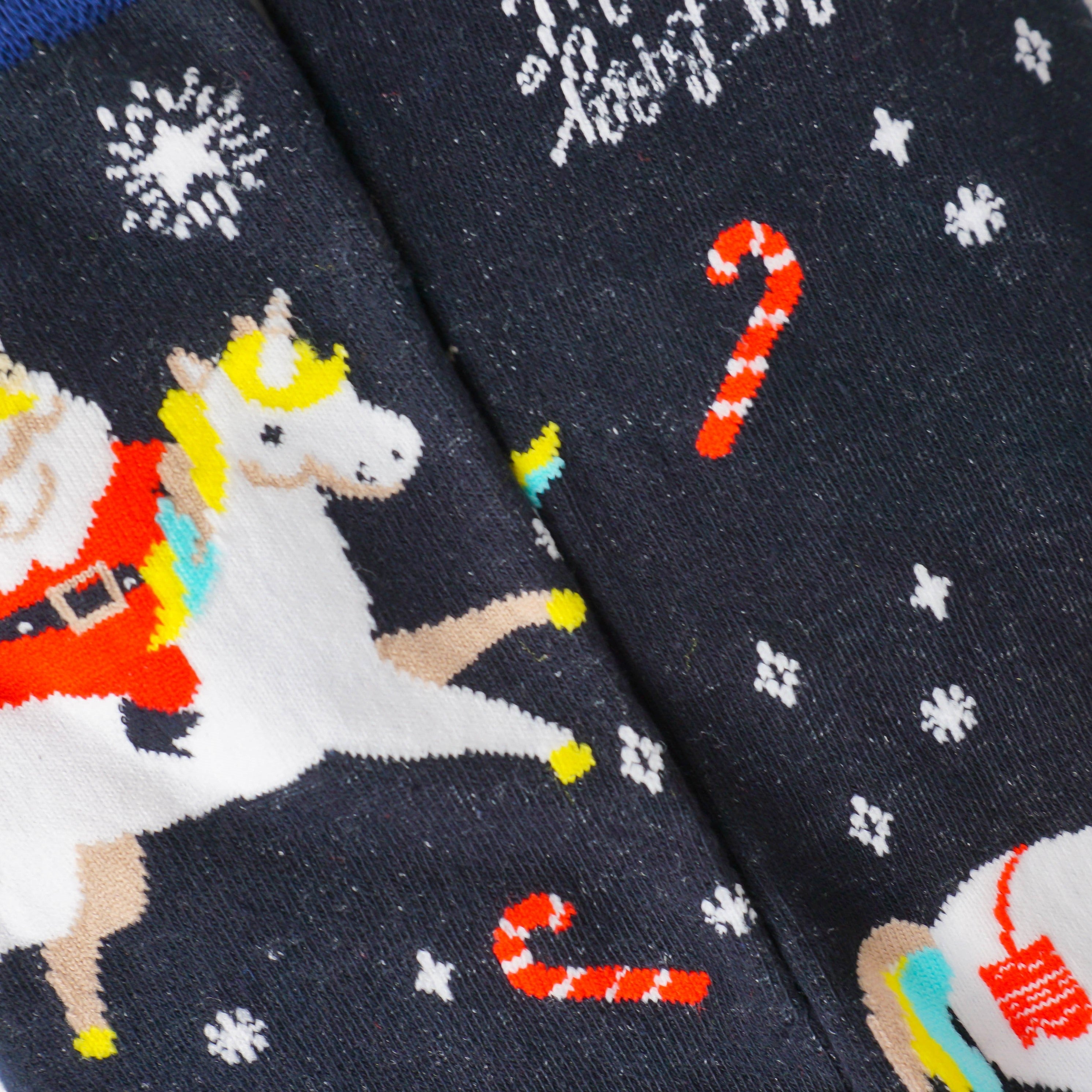 Santa With Unicorns