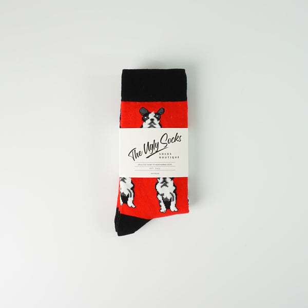 French Bulldog Socks