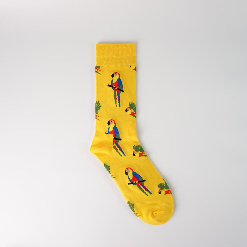 parrot-socks.jpg