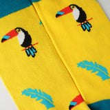 toucan socks.jpg